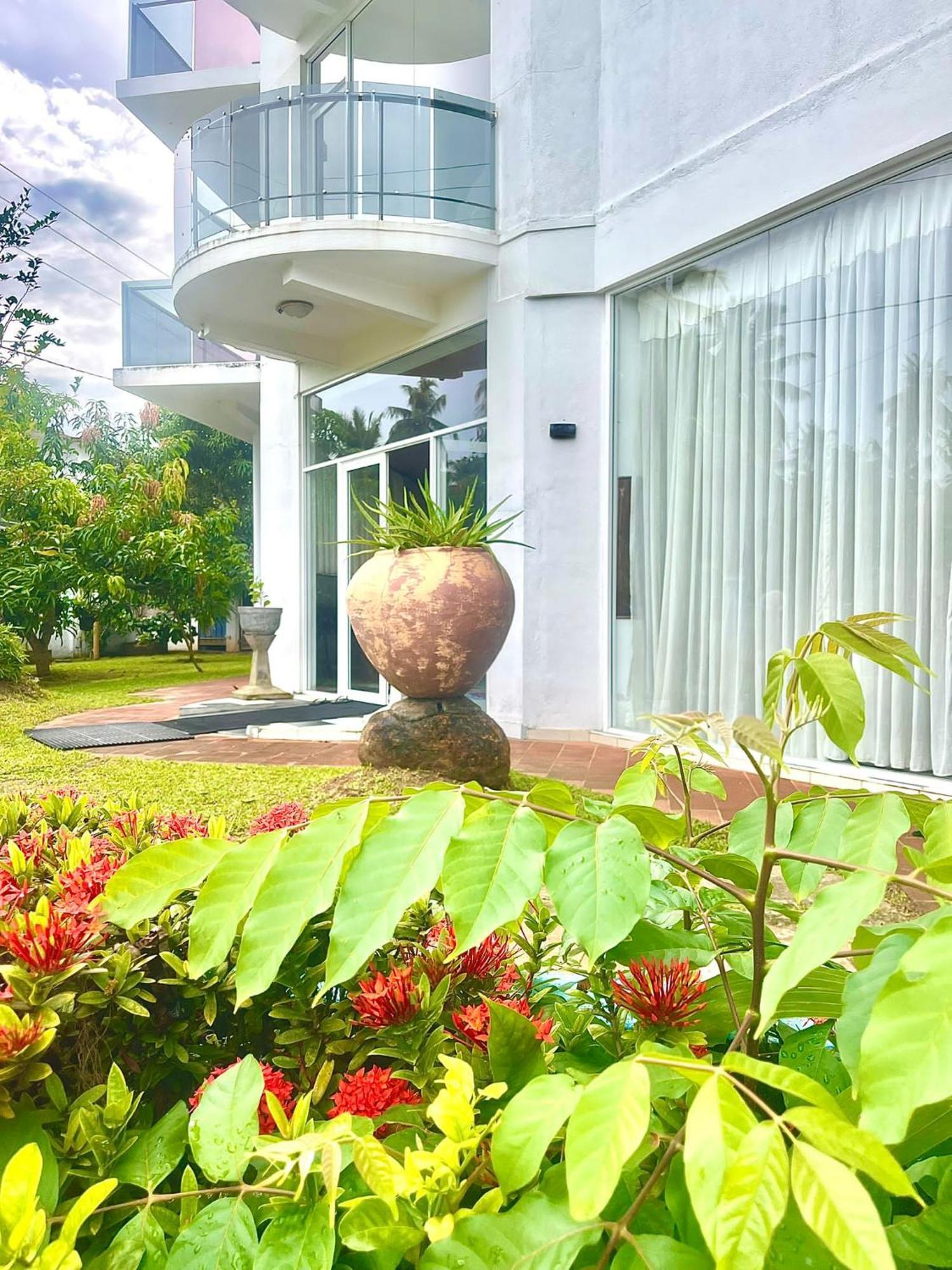 Amaya Beach Hotel Dikwella Kültér fotó